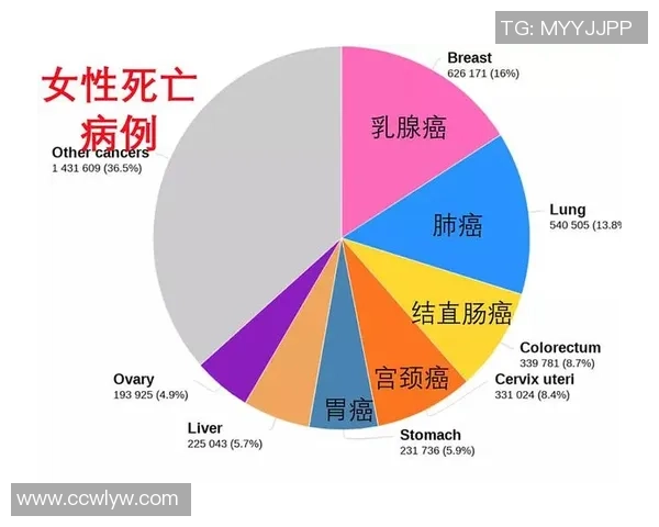 武汉排球队实力分析与发展潜力探讨：数据背后的故事与启示