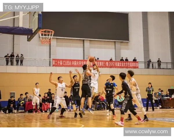 武汉篮球队比赛经验深度解析助力球队成长与发展